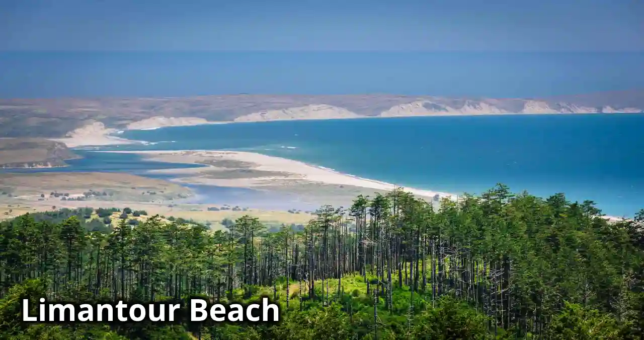 Read more about the article Limantour Beach