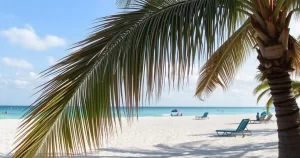 Read more about the article The Best Beaches in Florida for Families – Amazing Vacation Spot